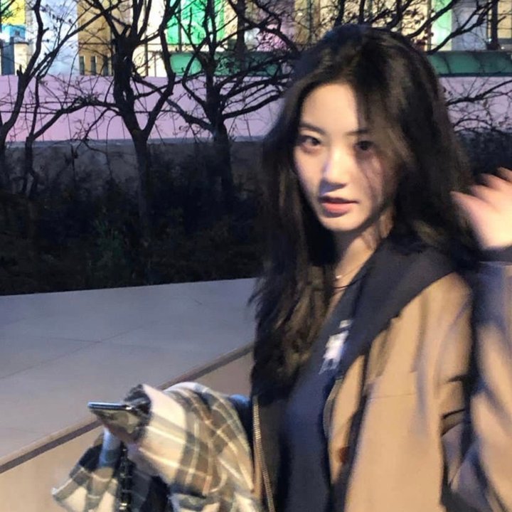 齐木楠雄的灾难 日播版