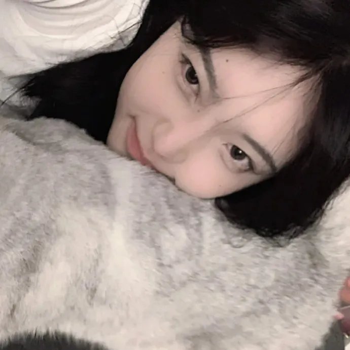 名校风暴第五季